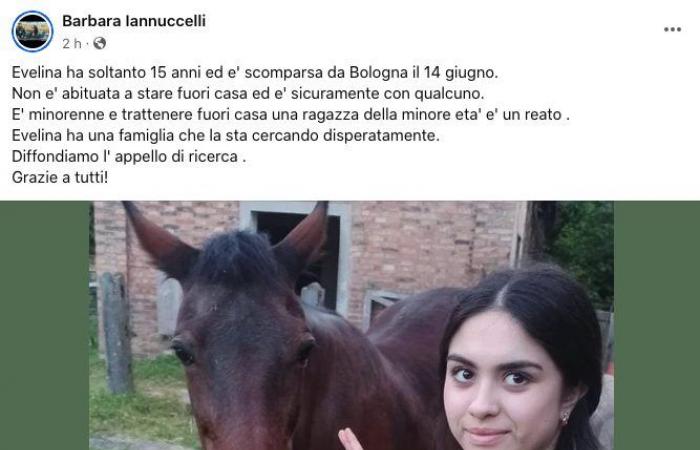 Evelina ist im Alter von 14 Jahren von zu Hause verschwunden und wird in Bologna gesucht. Der Vater: „Sie hatte einen Jungen kennengelernt“