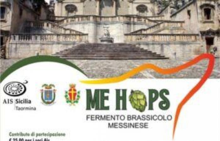 Messina: Entdecken Sie lokale Biere mit „Me Hops brewing ferment“