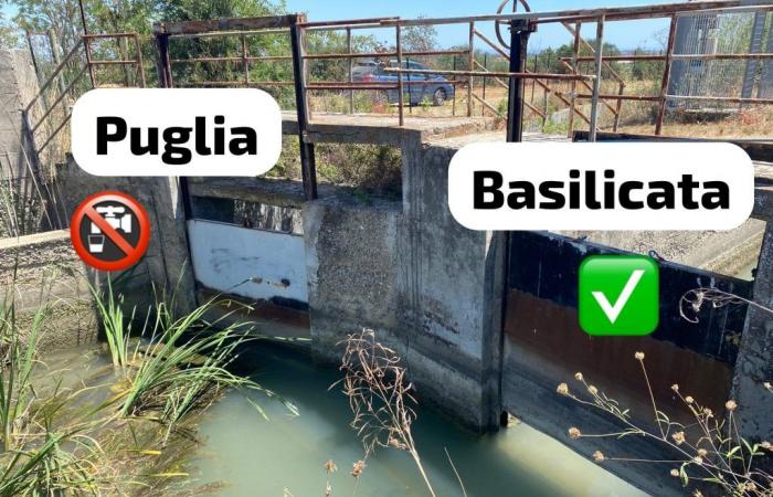 Wasser aus dem Lucanian-Staudamm: „Trockene Kanäle in der Gegend von Taranto, nicht in der Basilikata“ VIDEO
