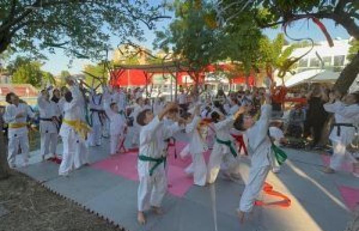 Karate Terni: Gürtelpässe im GuazzaTeam-Fitnessstudio