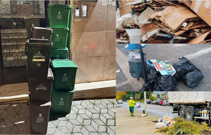 Cosenza hat die neue Verordnung für Abfallwirtschaft und Stadthygiene verabschiedet. Was sagt es voraus?