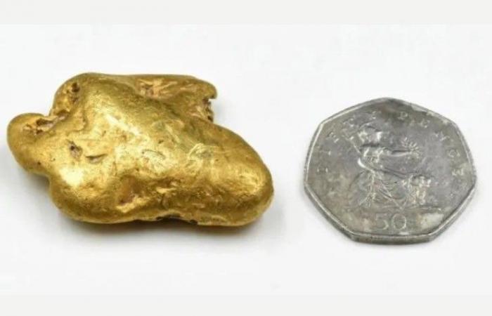 Finden Sie ein Goldnugget dank des Metalldetektors: Der Wert ist beeindruckend