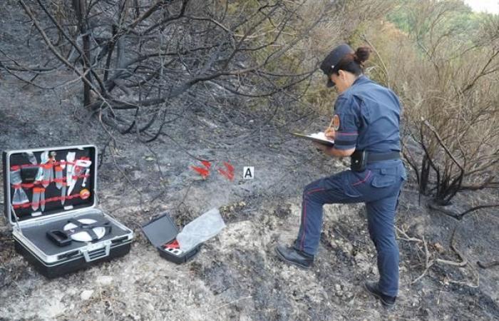 Waldbrände, die Forst-Carabinieri – Ambient&Ambienti sind bereit