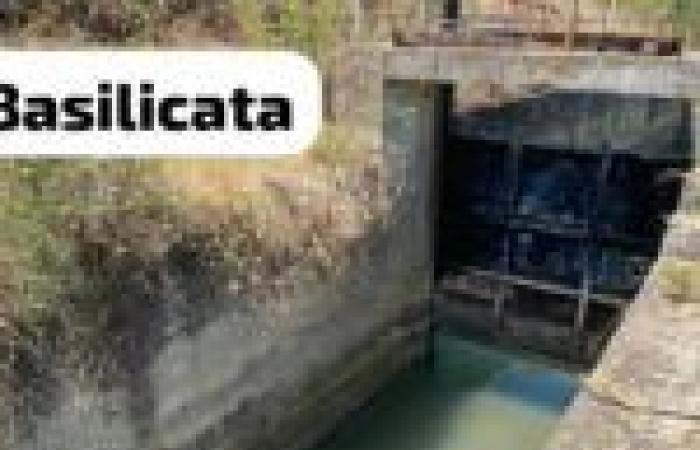 Wasser aus dem Lucanian-Staudamm: „Trockene Kanäle in der Gegend von Taranto, nicht in der Basilikata“ VIDEO