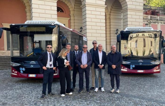 Amaco und Tpl in Cosenza: die ungewisse Zukunft des öffentlichen Nahverkehrs