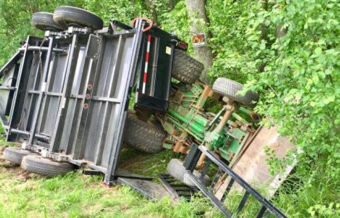 Bauer stirbt von Traktor zerquetscht: Ein Hund bleibt, um auf ihn aufzupassen, der andere rennt, um Alarm zu schlagen – Turin News