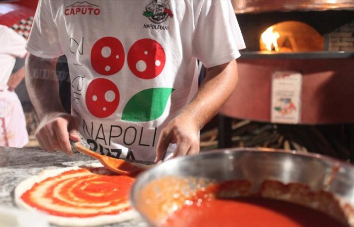 Die Künstler der 10 tollen Abende im Napoli Pizza Village 2024