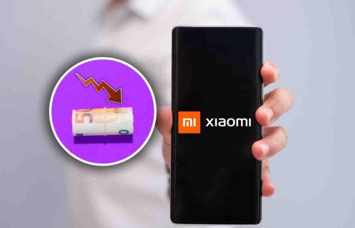 Xiaomi wird verrückt, eines seiner besten Telefone zum niedrigsten Preis aller Zeiten: nur kurze Zeit, um das Angebot zu nutzen