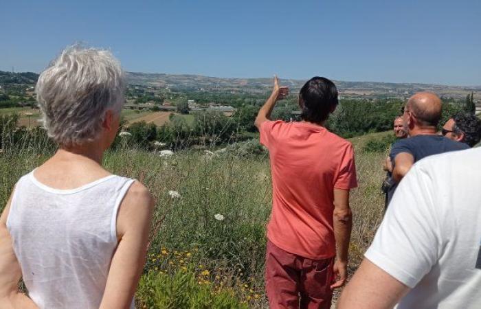 Benevento-Flüsse: Cirf, Lipu und WWF vereinen sich zum Schutz vor Hitze
