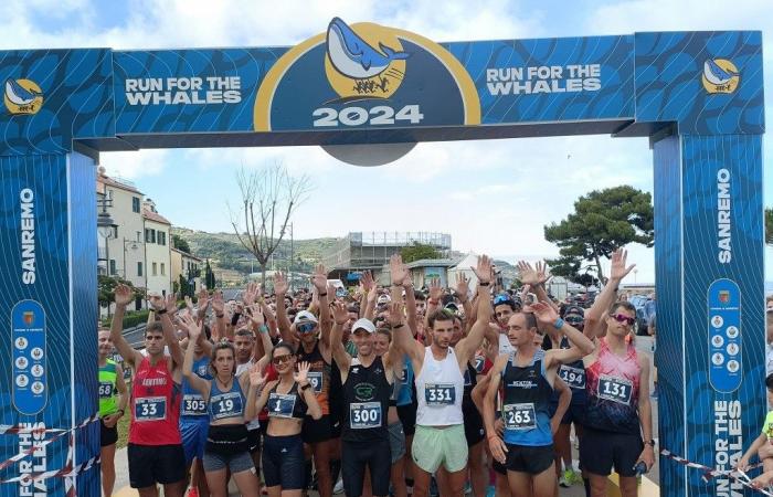 mit 765 registrierten Rekordzahlen für den „Run for the Whales“ 2024. Die Rangliste (Foto) – Sanremonews.it