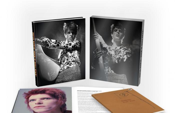 Rezension zu David Bowie, der Rock’n’Roll-Star