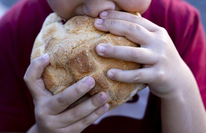 Brot und Bäcker Italiens 2025 Gambero Rosso. Marken, 2 in der Spitze – Neuigkeiten