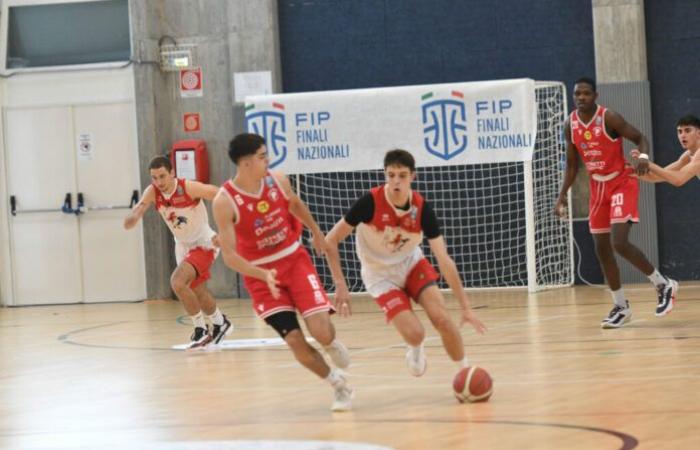Varese Basketball: Bottelli bleibt. Auch eine Rolle im First Team ist für ihn möglich