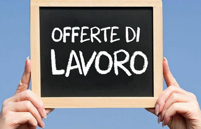 Suchen Sie Arbeit im Trentino? Hier sind die Angebote für den 17. Juni