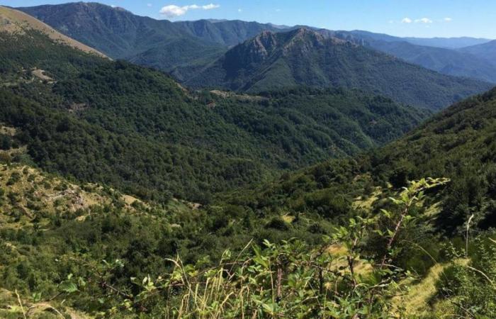 Bis zu 30.000 Euro für den Kauf eines Hauses in den Bergregionen der Toskana