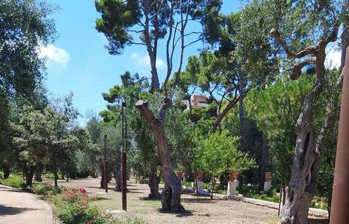 Bari begrüßt eine neue Grünfläche, hier ist der Bonomo-Park in der Via Amendola