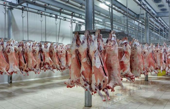 Die Preise für Schweinefleisch steigen im Mai erneut