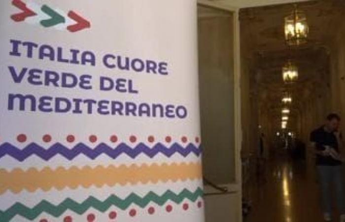 Mattei Plan und Recycling, eine führende Rolle für Italien im Mittelmeerraum