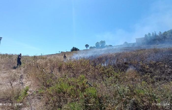 Brände auf dem Hügel, Feuerwehrleute und Gavi im Einsatz