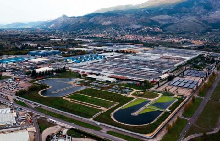 Stellantis: Entlassungen oder nach Frankreich gehen, der Vorschlag in Cassino – News
