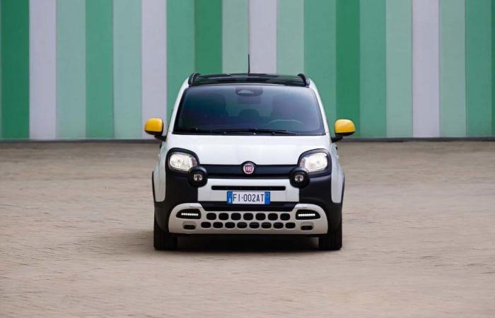 Der neue Fiat Grande Panda zum Preis des Pandina? Welche Wahl werden die Italiener treffen?