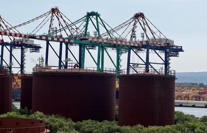 Gioia Tauro: Die Port System Authority gewinnt an allen Fronten gegen die Oil Company
