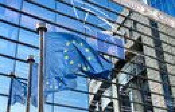 Die Einigung über die EU-Staats- und Regierungschefs wird verschoben, aber von der Leyen bleibt die Favoritin – Nachrichten