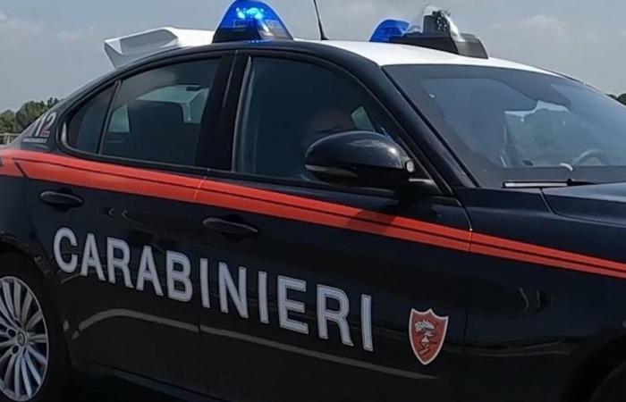 Naples, transportierte Tiernahrung, die gestohlen aufgefunden wurde: 46-Jähriger meldete sich