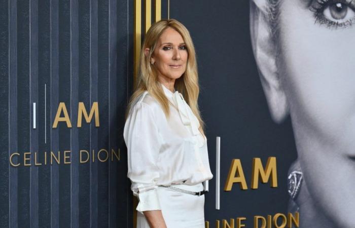 Céline Dion, wir fangen wieder bei Weiß an: Der total weiße Look bei der Premiere ihres Biopics zeugt von Eleganz und Stärke
