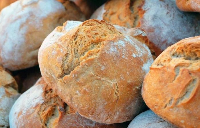 Gambero Rosso entdeckt das beste Brot in der Gegend von Bergamo