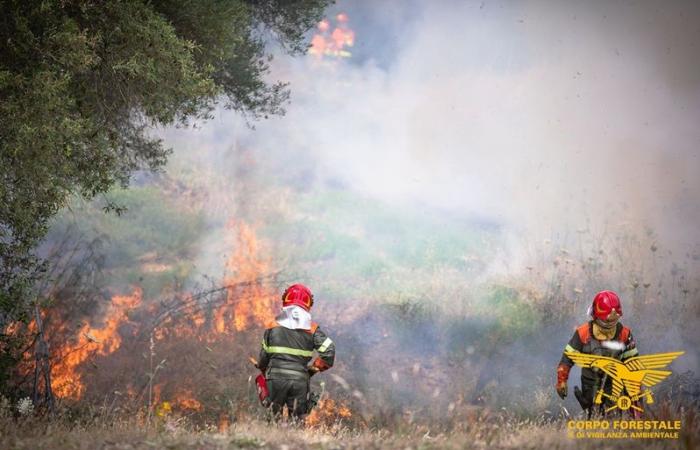 Heute auf Sardinien 17 Brände, Luftangriffe im gesamten Gebiet | Nachricht