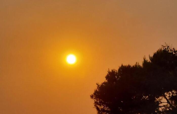 Die Hitzewelle erreicht Italien, die Temperaturen liegen 12 Grad über dem Normalwert – Nachrichten