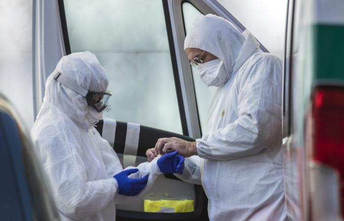 „Vogelgrippe-Pandemie ist eine Frage der Zeit, Sterblichkeit bis zu 50 %“: Der Alarm des Virologen
