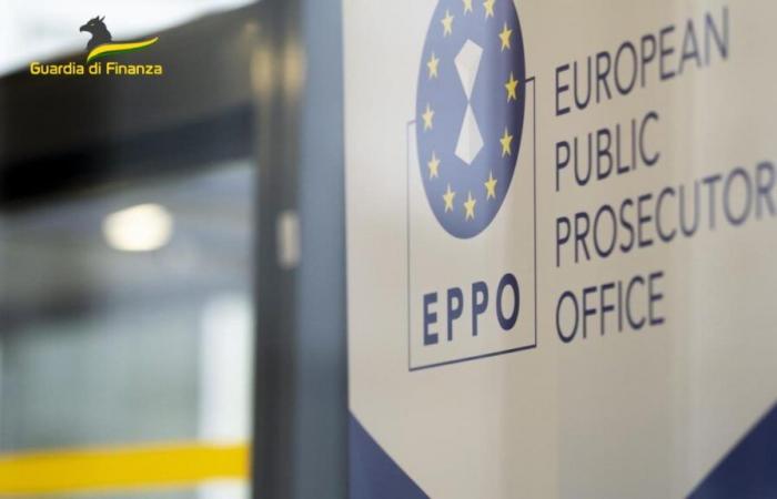 500.000 Euro beschlagnahmt und 4 werden untersucht