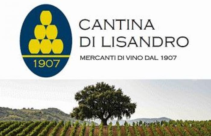 Die Gemeinde Caserta genehmigt am 19. Juni den endgültigen Haushalt 2023 mit einem Überschuss von 71,5 Millionen |