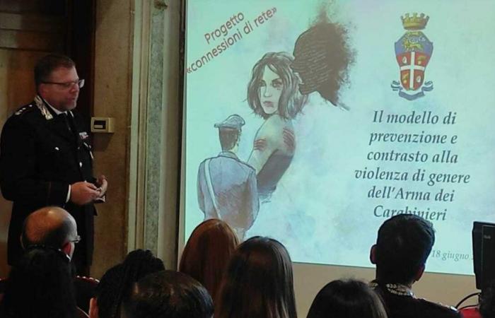 Gewalt gegen Frauen in der Region Treviso, Netzwerke von Institutionen zur Bekämpfung des Phänomens. Für die Betreiber wurde eine Tabelle eingerichtet