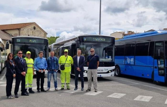 Neue Busse auf den Straßen von Pisa. In 11 Monaten wurden bereits 26 Fahrzeuge ausgetauscht