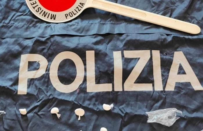 17-jähriger Pusher in Padua verhaftet: Er handelte im Park mit Kokain