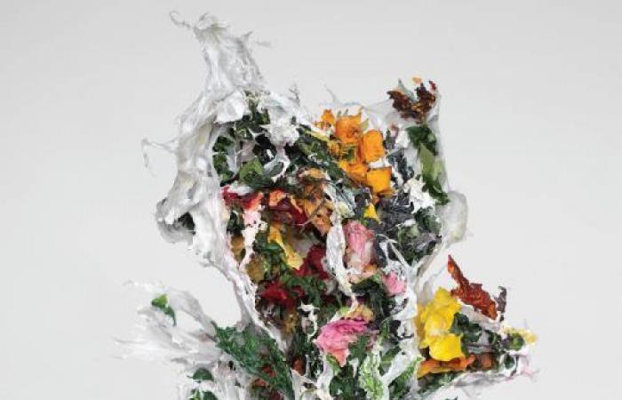 BIG BRAVE – Ein Chaos aus Blumen