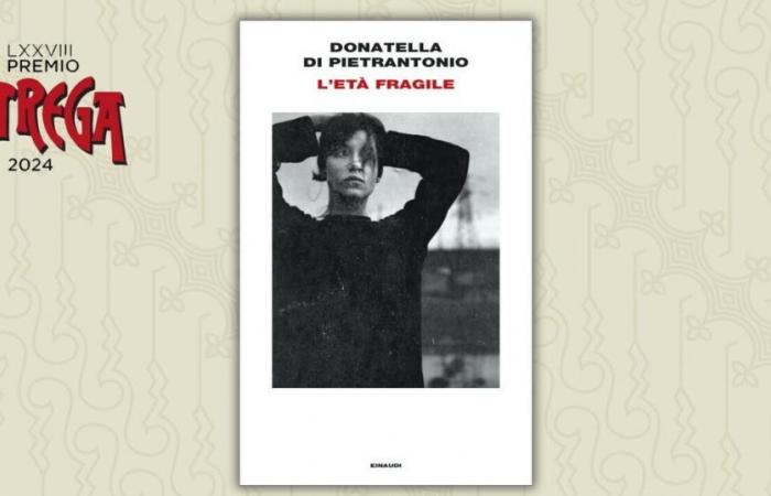 Auf dem Weg zur Hexe: „Das fragile Zeitalter“ von Donatella Di Pietrantonio