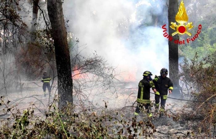 In den Grünflächen haben Kontrollen durch freiwillige Katastrophenschutzhelfer auf Brandgefahr begonnen