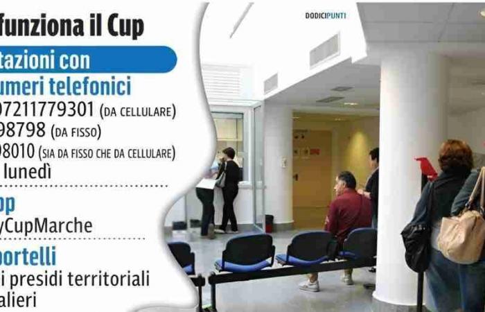 Das Hacken bei Sanità Marche nach der Buchung eines Besuchs beim Cup ist ein Albtraum