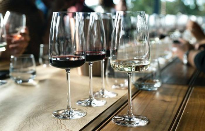 Zum ersten Mal gewinnt ein kalabrischer Wein die Große Goldmedaille beim Concours Mondial de Bruxelles • Wunder Kalabriens