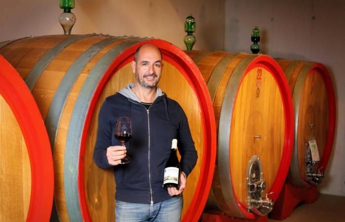 Weintourismus in den Marken: vom Weinberg bis zum Tisch. Mit Gioachino Rossini Opera Food in Fano der Stopp im Di Sante-Keller