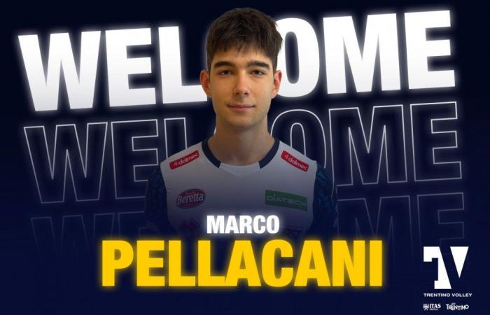 Ein weiterer Aufstieg aus der Jugendmannschaft: Hier ist Innenverteidiger Marco Pellacani