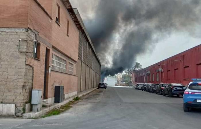 GUIDONIA – Ein Berg brennender Abfälle, das Feuer im Industriegebiet wurde gelöscht