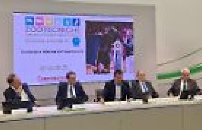 Tourismus, Stadtrat Mazzali in der Handelskammer: „Daten wachsen auch im Jahr 2024“