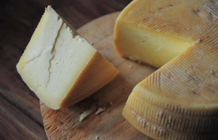 Veganer Käse gewinnt beinahe einen Molkereiwettbewerb und wird dann disqualifiziert: die absurde Geschichte