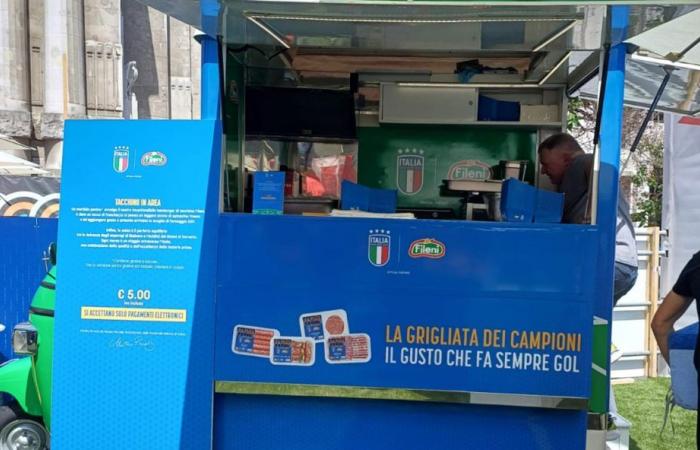 Fileni steht immer noch mit den Azzurri auf dem Platz, in Mailand und Pesaro – Nachrichten Pesaro – CentroPagina