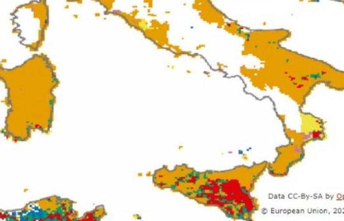 Rekorddürre auf Sizilien: Die gesamte Region erlebt die größte Wasserkrise des letzten halben Jahrhunderts. Die Gegenmaßnahmen der Regierung